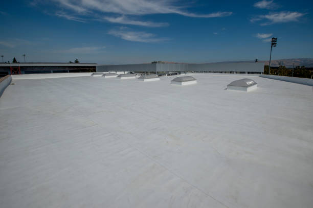 Best Solar Panel Roofing Installation  in Mikes, TX
