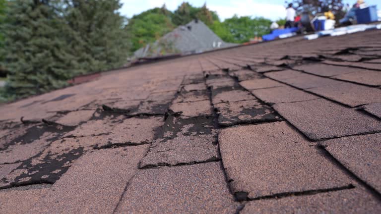 Best Chimney Flashing Repair  in Mikes, TX